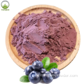 Großhandel Blueberry Extract Saftpulver